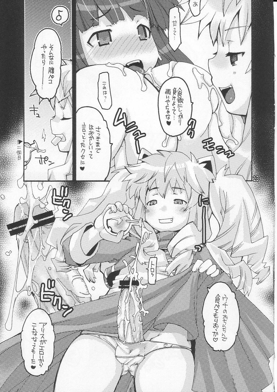 (C70) [Seinansei ni Kagayakeru Hoshi (Morino Papiko)] Ragnarok Yawa Level.8 (Ragnarok Online) page 12 preview