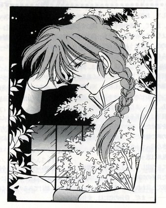 (C42) [Ammonite Libra (Shinohara Sakegami)] Nankoufuraku (Ranma 1/2) page 4 preview
