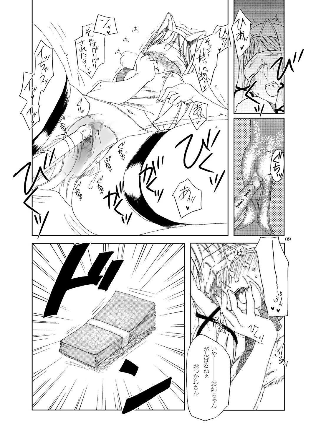 (C67) [Fujiya Honten (Thomas)] MIND vol. 03 - Meet by Chance (Ragnarok Online) page 8 preview
