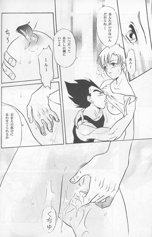 [Ryuujin-kai (HITO Ribuki)] Dangerous Beauty (DRAGON BALL Z) page 12 preview