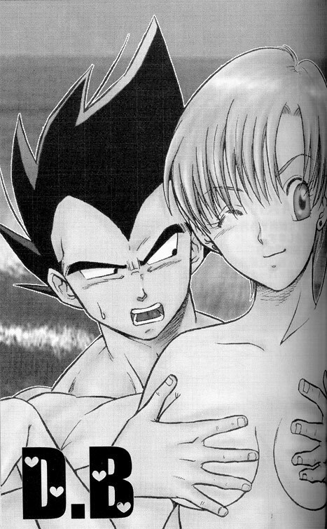 [Ryuujin-kai (HITO Ribuki)] Dangerous Beauty (DRAGON BALL Z) page 3 preview