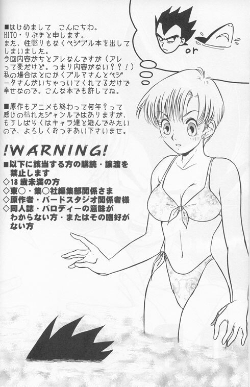 [Ryuujin-kai (HITO Ribuki)] Dangerous Beauty (DRAGON BALL Z) page 4 preview