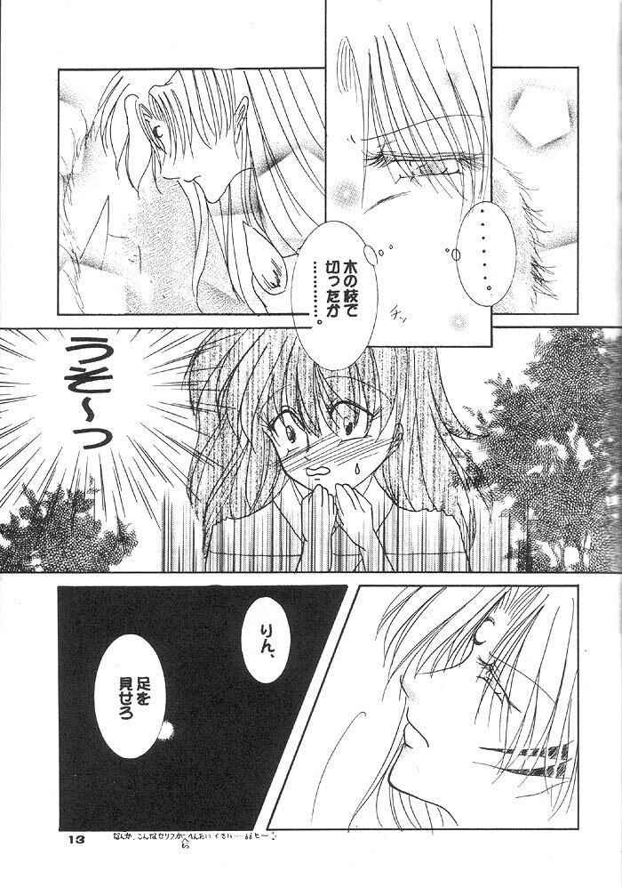 (Comic Creation 13) [Hero Hero Honpo (Kamiryou Kaduki)] VELVET LOVE (Inuyasha) page 12 preview