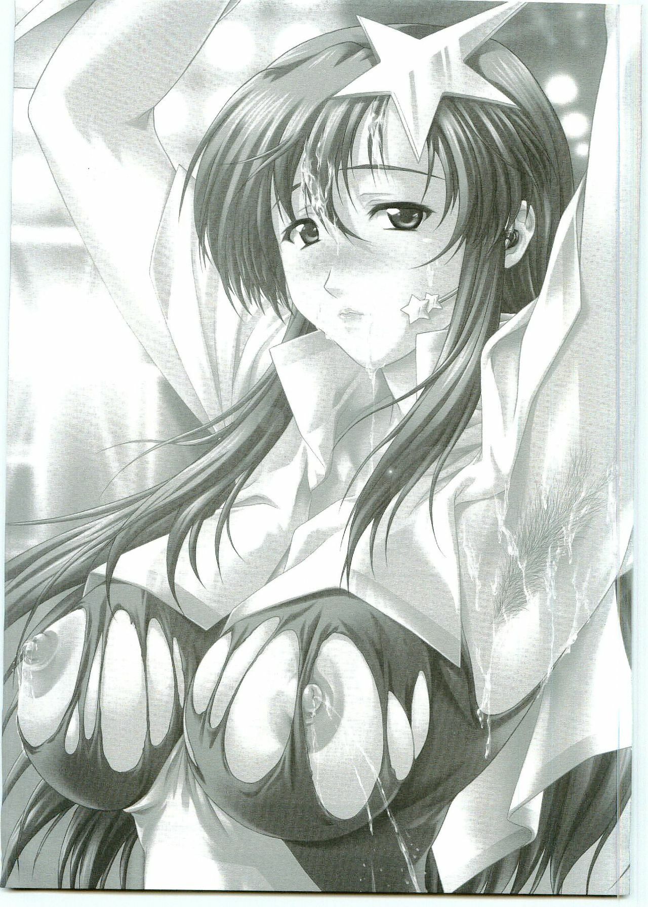 (C69) [OTOGIYA X-9 (Mizuki Haruto)] ...Shinai no? Meer Sensei -C69VERSION- (Mobile Suit Gundam SEED DESTINY) page 3 preview