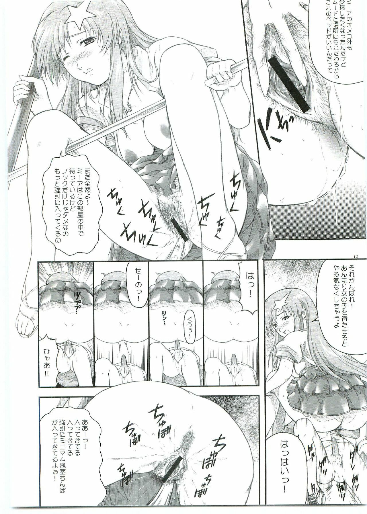 (C69) [OTOGIYA X-9 (Mizuki Haruto)] ...Shinai no? Meer Sensei -C69VERSION- (Mobile Suit Gundam SEED DESTINY) page 12 preview