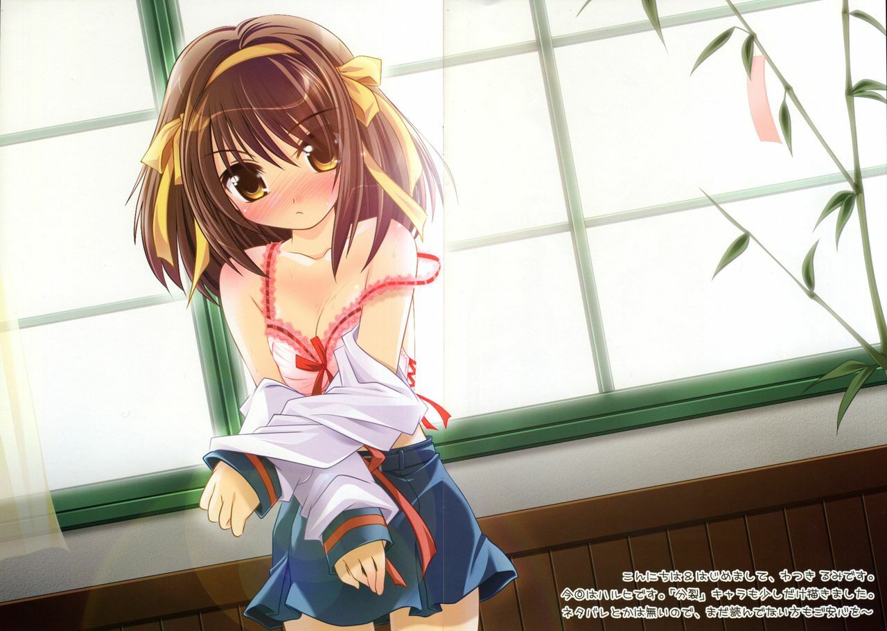 (COMIC1) [Watsukiya (Watsuki Ayamo)] Purimo#2 (The Melancholy of Haruhi Suzumiya) (Joined Image) page 2 preview