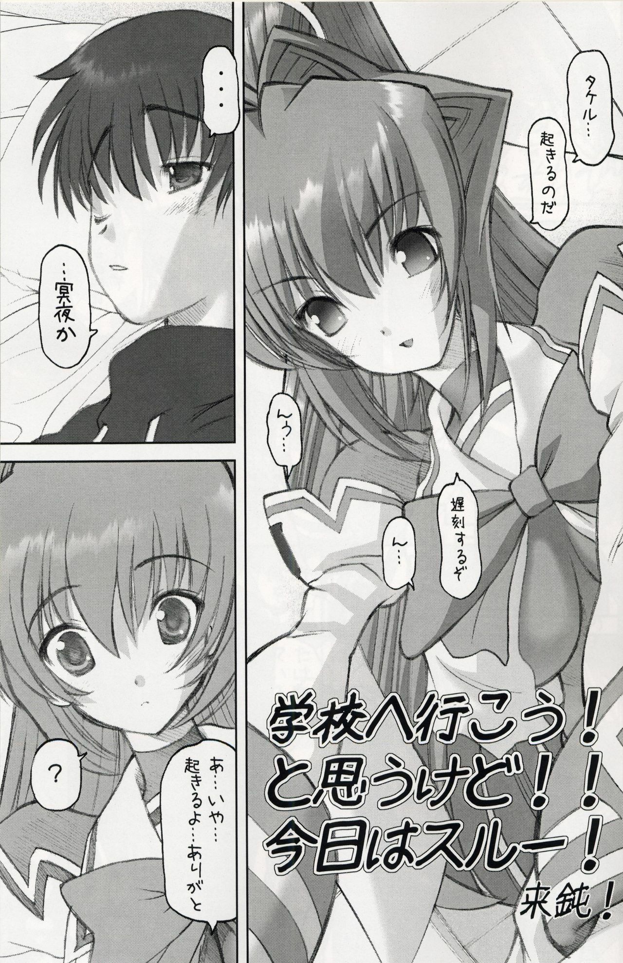 (C64) [Studio Huan (Raidon)] Muvmuv 2 (Muv-Luv) page 5 preview