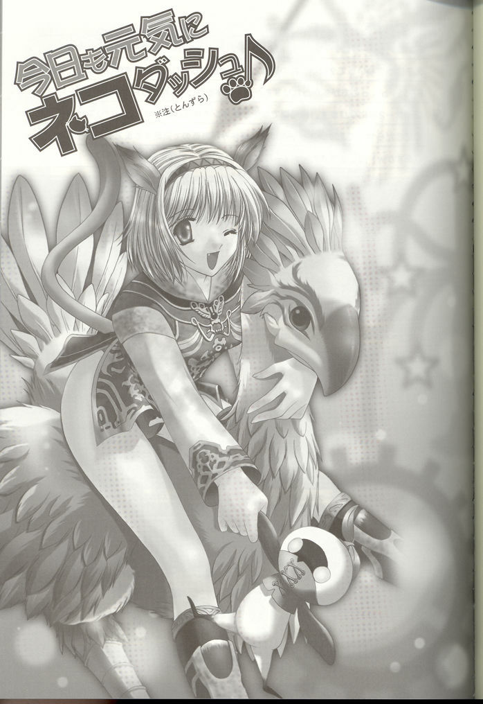 (C66) [TRAP (Urano Mami)] Kyou mo Genki ni Neko Dash (Final Fantasy XI) page 2 preview