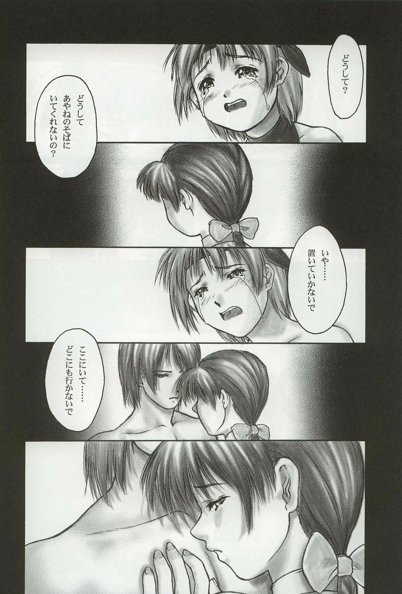 (C62) [Hellabunna (Iruma Kamiri)] INU/Sequel (Dead or Alive) page 5 preview