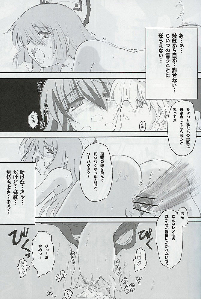 (Reitaisai 2) [Yumemi Gokochi (Mikage Baku)] Juusho Futei Mushoku (Touhou Project) page 8 preview