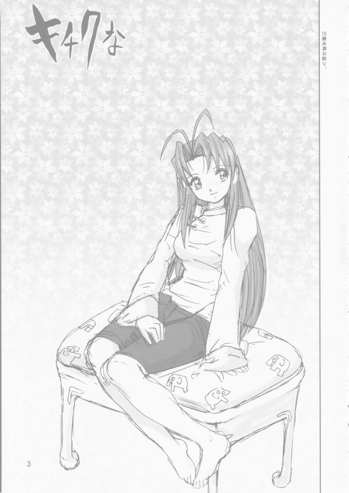 [Raijinkai (Haruki Genia)] Kichikuna (Love Hina) page 3 preview