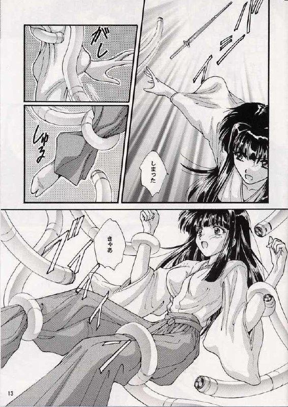 (CR33) [ABSORB (Fujiku Yuima)] Hanahime Ranbu (Love Hina) page 12 preview