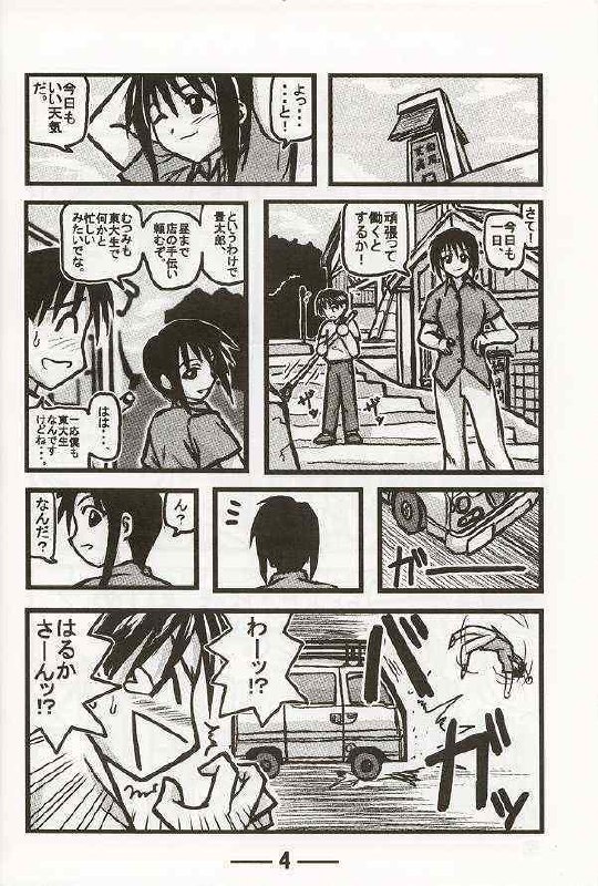 [Daitoutaku (Nabeshima Mike)] Haruka Oneesan S (Love Hina) page 4 preview
