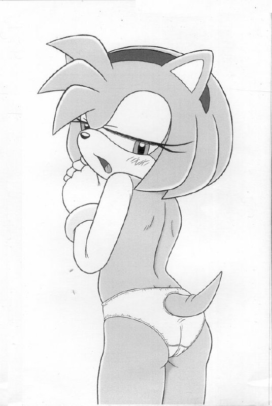 (C67) [Furry Bomb Factory (Karate Akabon)] Furry BOMB #2.5 (Sonic the Hedgehog) page 2 preview