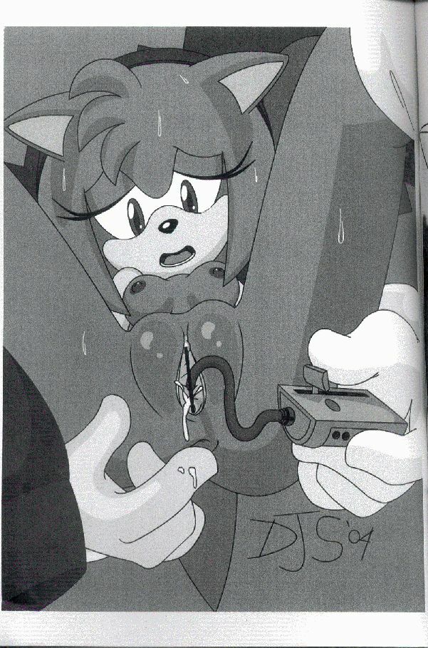 (C67) [Furry Bomb Factory (Karate Akabon)] Furry BOMB #2.5 (Sonic the Hedgehog) page 7 preview