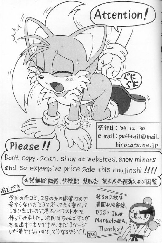 (C67) [Furry Bomb Factory (Karate Akabon)] Furry BOMB #2.5 (Sonic the Hedgehog) page 11 preview