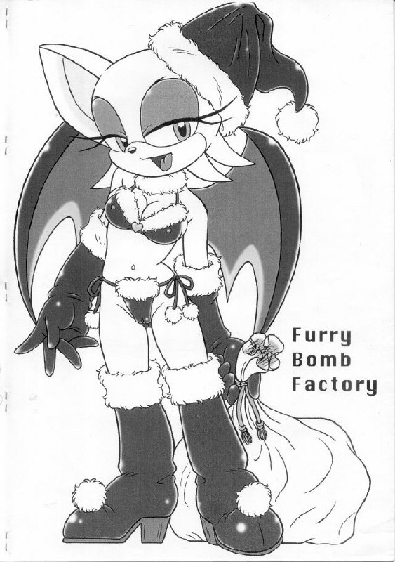(C67) [Furry Bomb Factory (Karate Akabon)] Furry BOMB #2.5 (Sonic the Hedgehog) page 12 preview