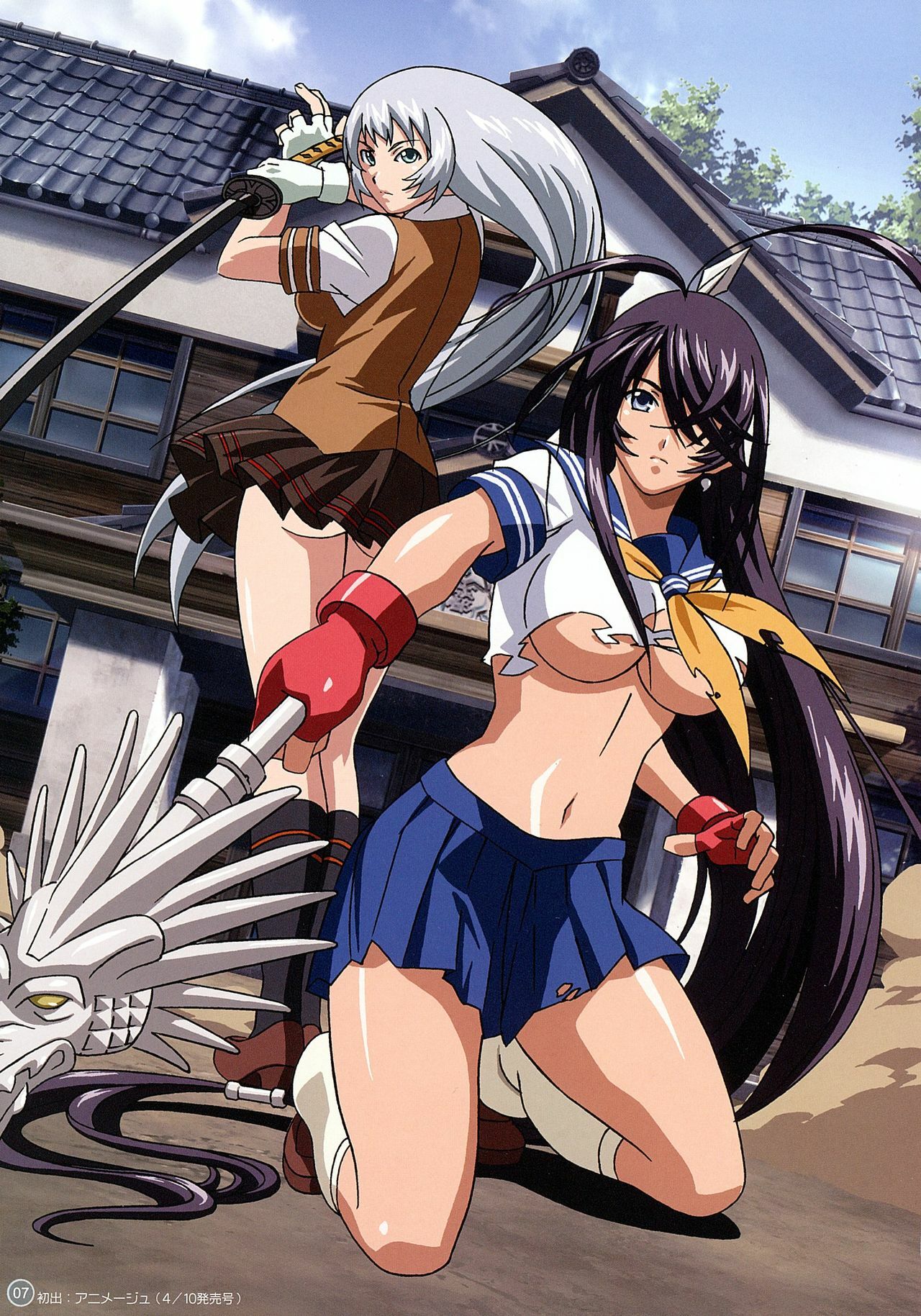 [TORANOANA] Ikkitousen Dragon Destiny Offical Visual Fan Book page 6 preview