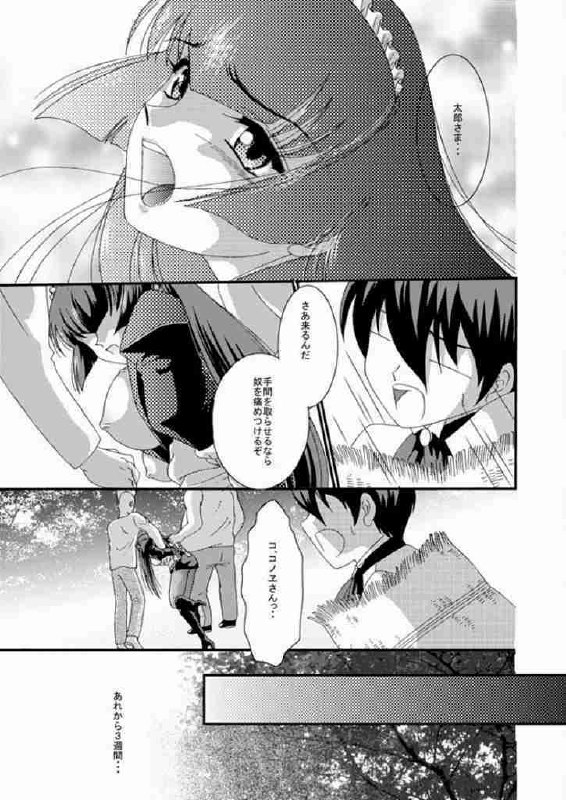 [Akiyama Kougyou (Kagami Ryou)] Maid Konowe 3 (Hanaukyou Maid Tai) page 4 preview