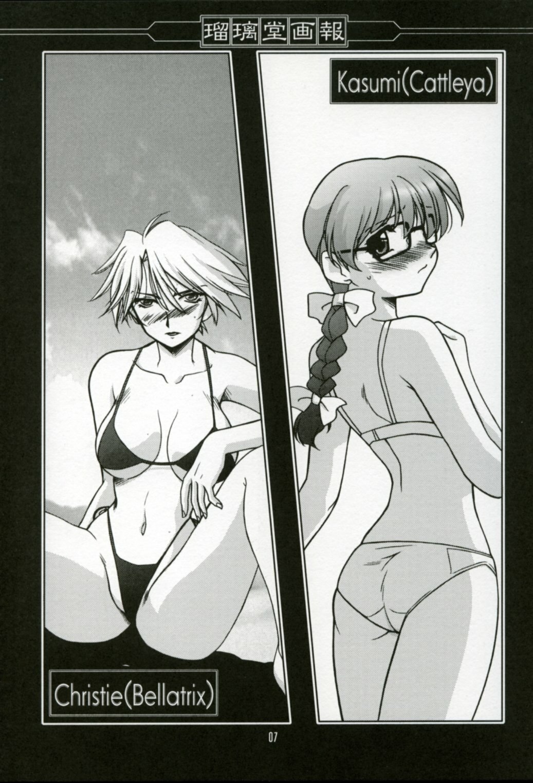 (C64) [UA Daisakusen, Lapislazuli=corporation (Harada Shoutarou)] Ruridou Gahou XX CODE:20 (Dead or Alive) page 6 preview