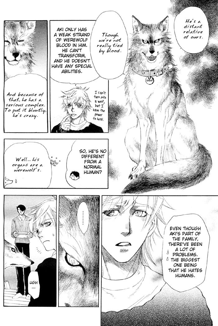 Yaoi - Three Wolves Mountain ch. 4 page 12 preview