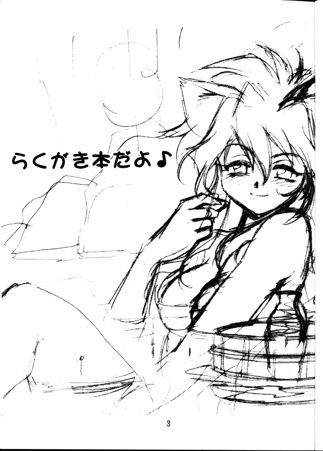 (CR28) [Studio Katsudon (Manabe Jouji)] Rakugaki Bon (Various) page 2 preview