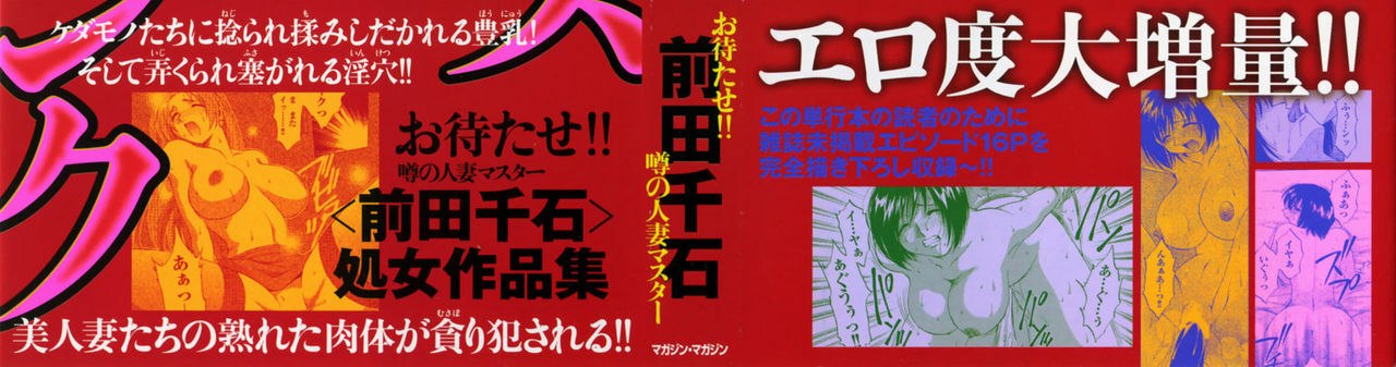 [Maeda Sengoku] Mrs. Link page 3 preview