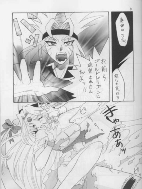 [Ginmomodou (Mita Satomi)] SLAYERS ADULT 3 (Slayers) page 8 preview
