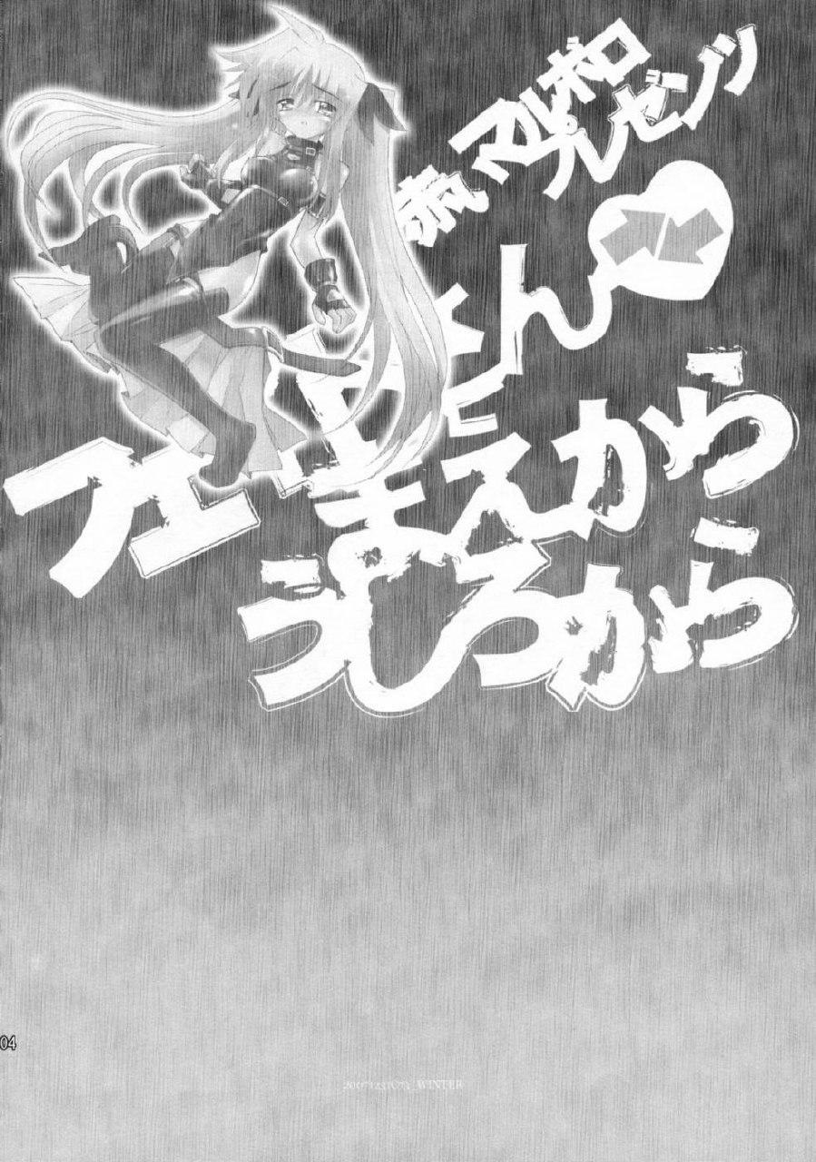 (C73) [Akai Marlboro (Aka Marl)] Fate-san Mae kara Ushiro kara (Mahou Shoujo Lyrical Nanoha) page 3 preview