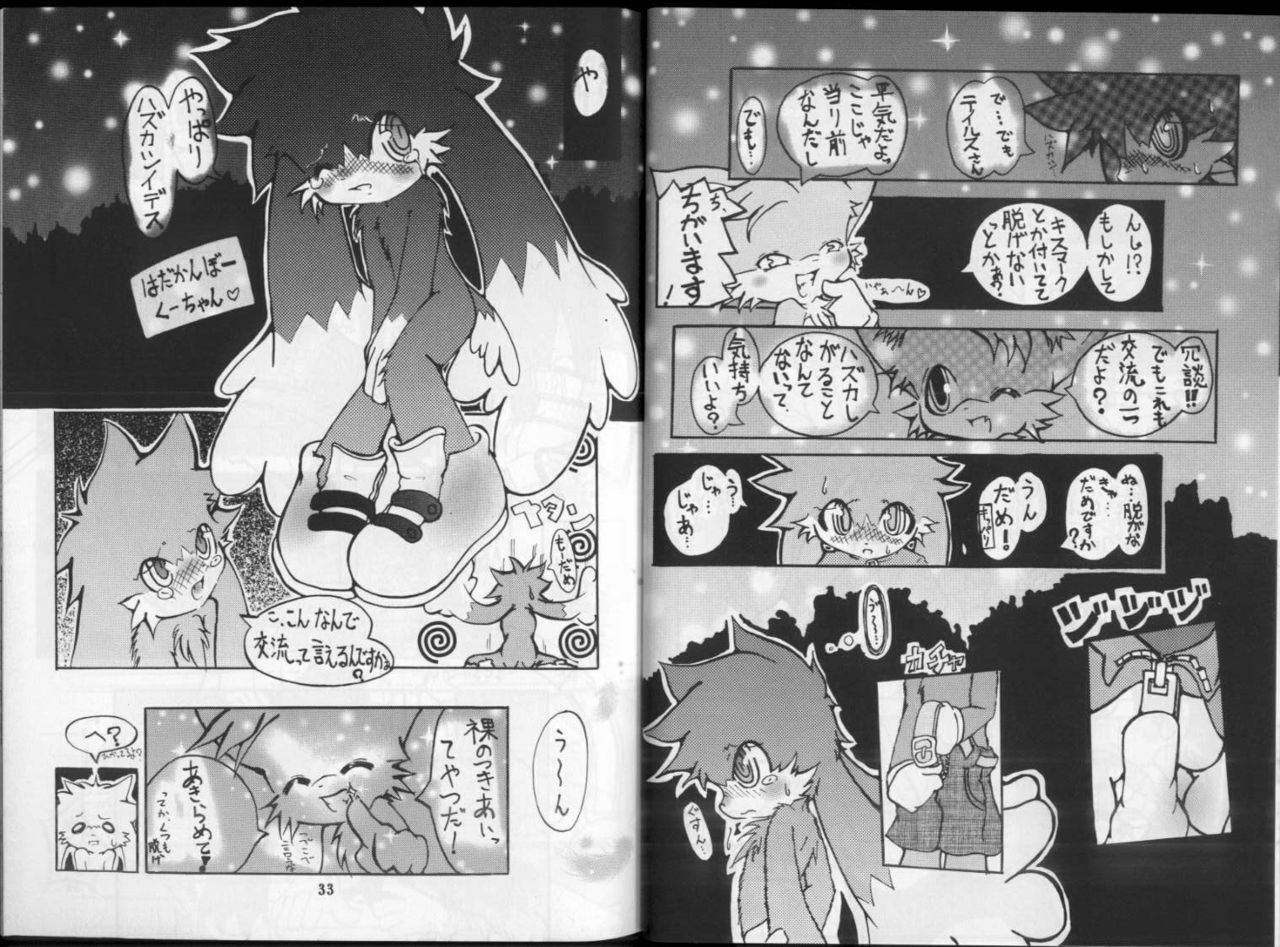 Klonoa &amp; Tails (Furry) (Yaoi) page 3 preview