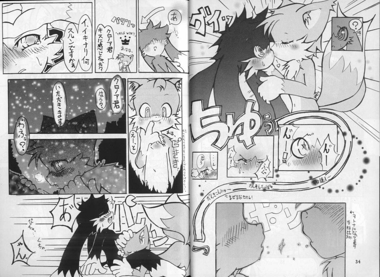 Klonoa &amp; Tails (Furry) (Yaoi) page 4 preview