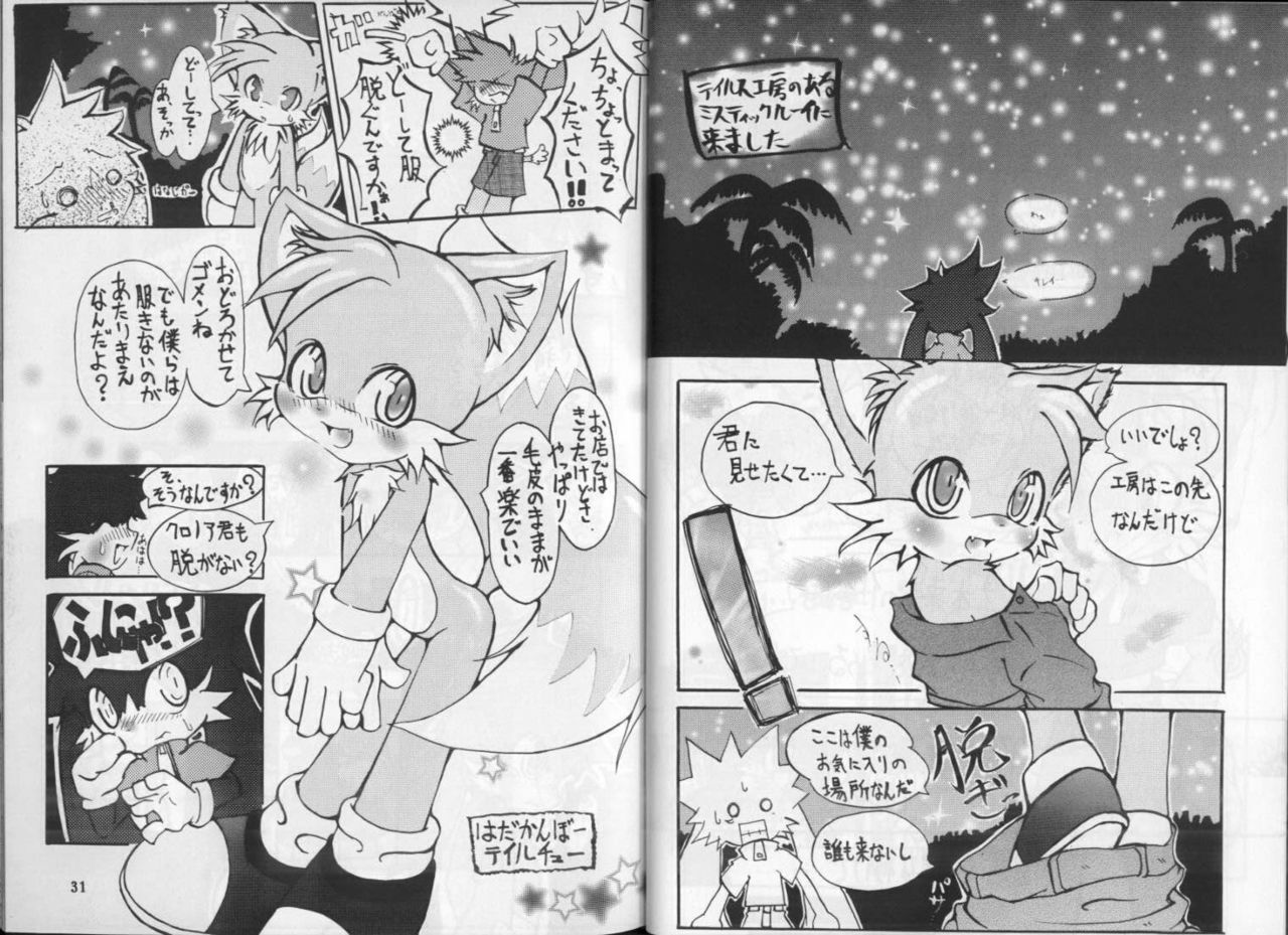 Klonoa &amp; Tails (Furry) (Yaoi) page 2 preview