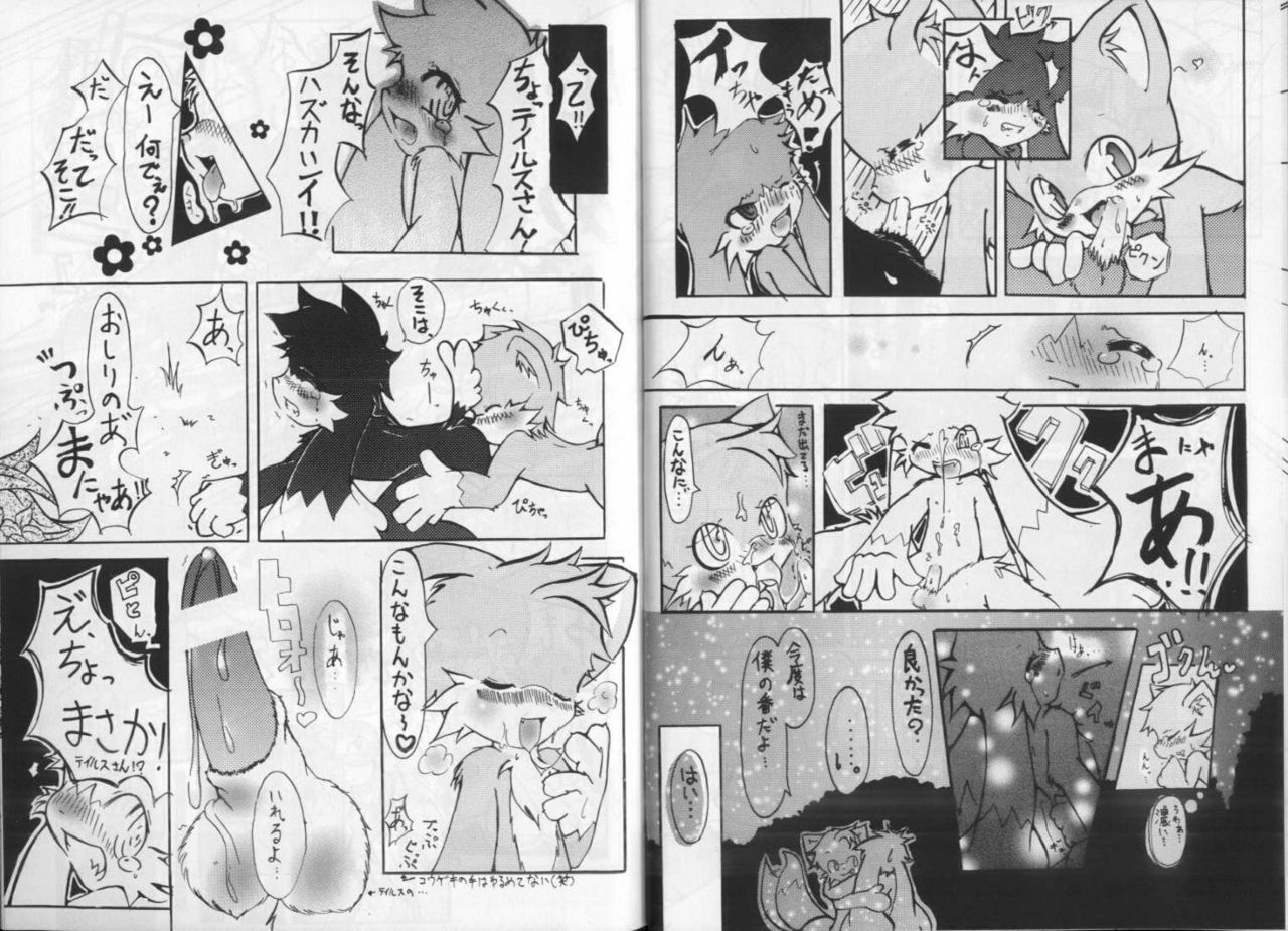 Klonoa &amp; Tails (Furry) (Yaoi) page 5 preview