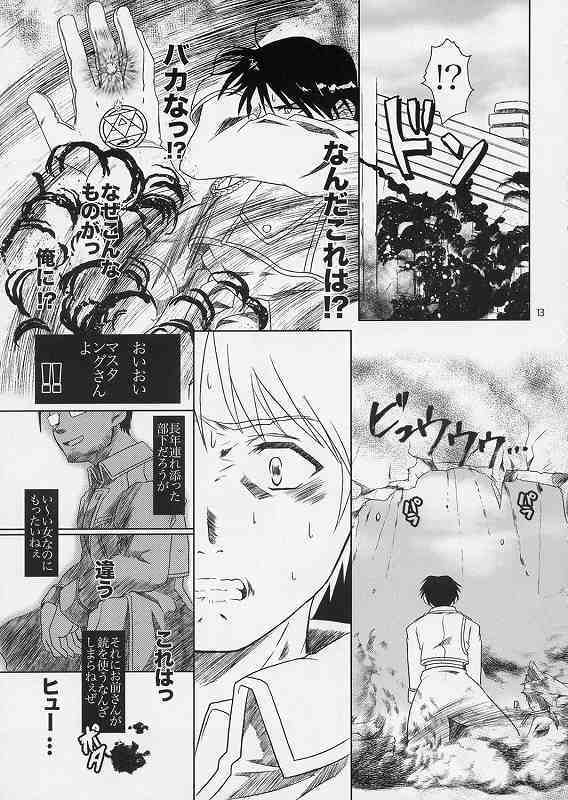 (SC24) [Fetish Children (Apploute)] Hikigane no Daika (Fullmetal Alchemist) page 10 preview