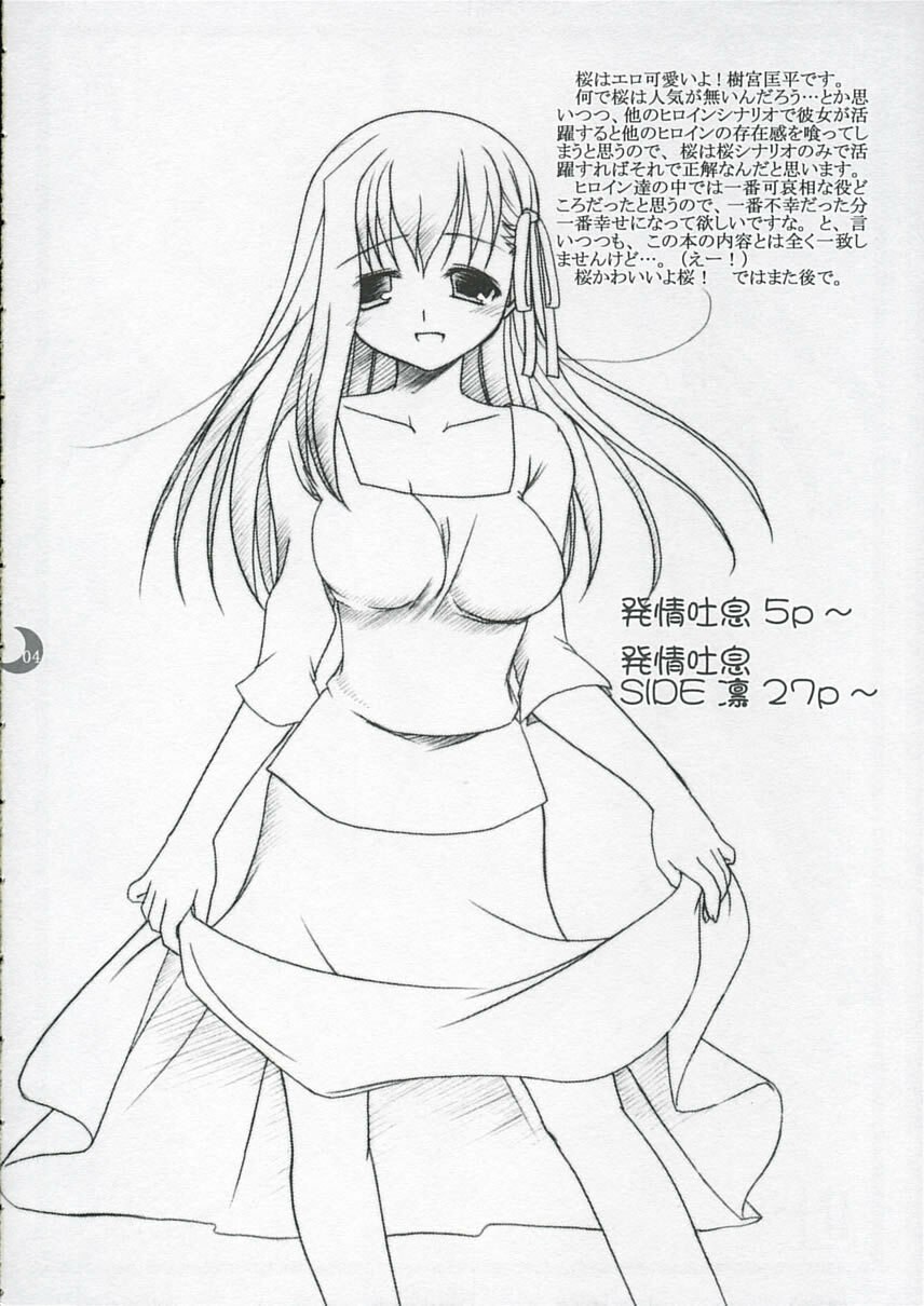 (C66) [IIWAKE-GAISYA (Shigemiya Kyouhei)] Hatsujou Toiki (Fate stay night) page 3 preview
