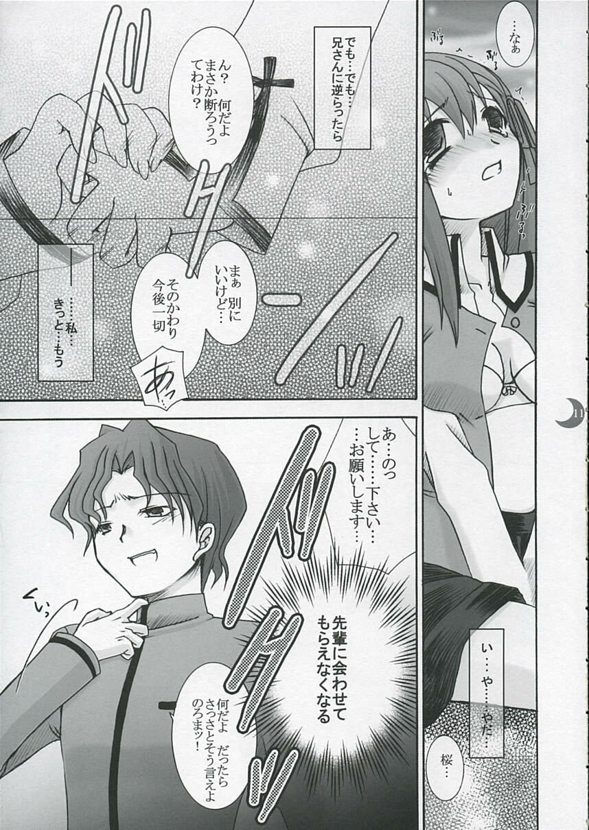 (C66) [IIWAKE-GAISYA (Shigemiya Kyouhei)] Hatsujou Toiki (Fate stay night) page 10 preview