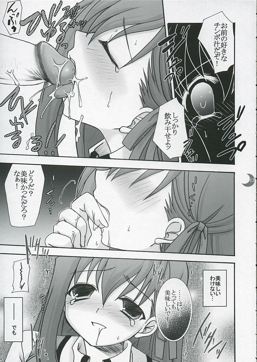 (C66) [IIWAKE-GAISYA (Shigemiya Kyouhei)] Hatsujou Toiki (Fate stay night) page 12 preview