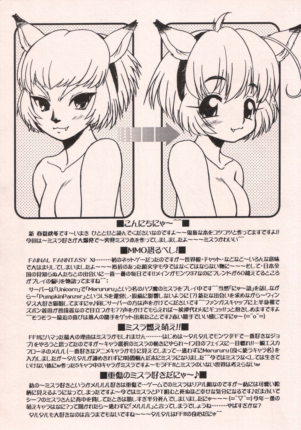 (SC19) [Circle ENERGY (Imaki Hitotose)] Mithra no Eropon (Final Fantasy XI) page 3 preview