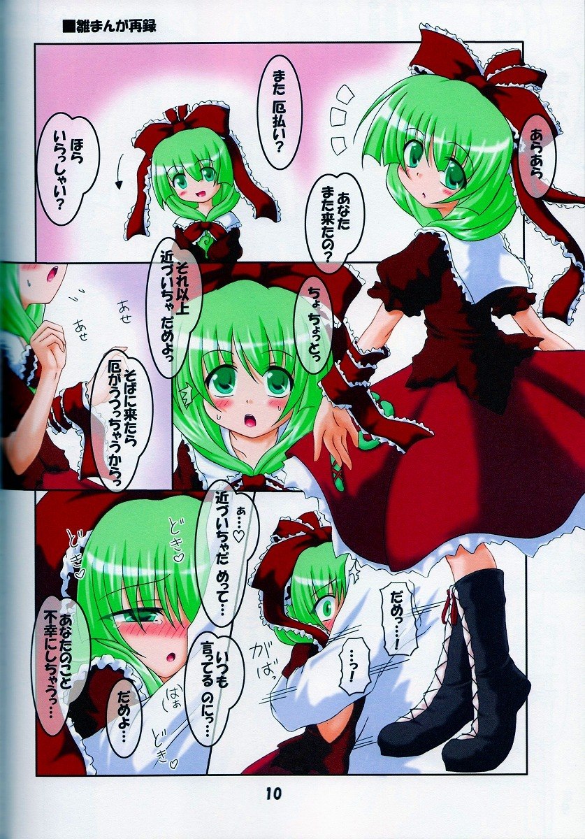 (C73) [Schwester (Inasaki Shirau)] Rollin 27 (Touhou Project) page 9 preview