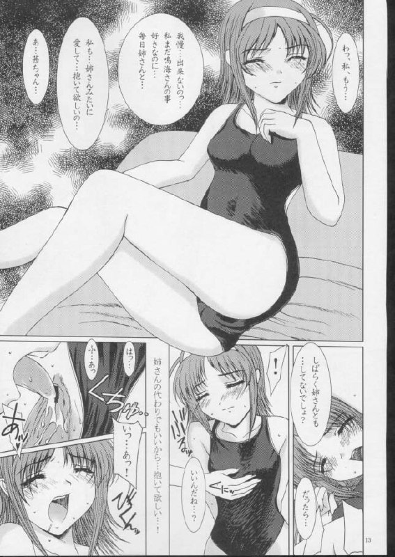 (C61) [Precious HEART (Yamasaki Atsushi)] Akane Iro No Sekai. (Kimi Ga Nozomu Eien) page 12 preview