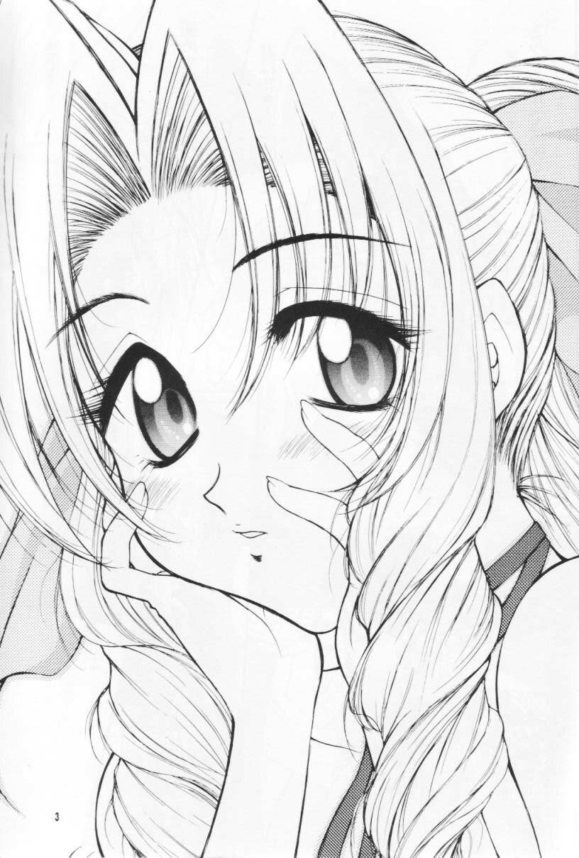 (CR27) [Hanamaru Mugen Gym (Hyoujun Mai)] Kodaishu no Musume (Final Fantasy VII) page 3 preview