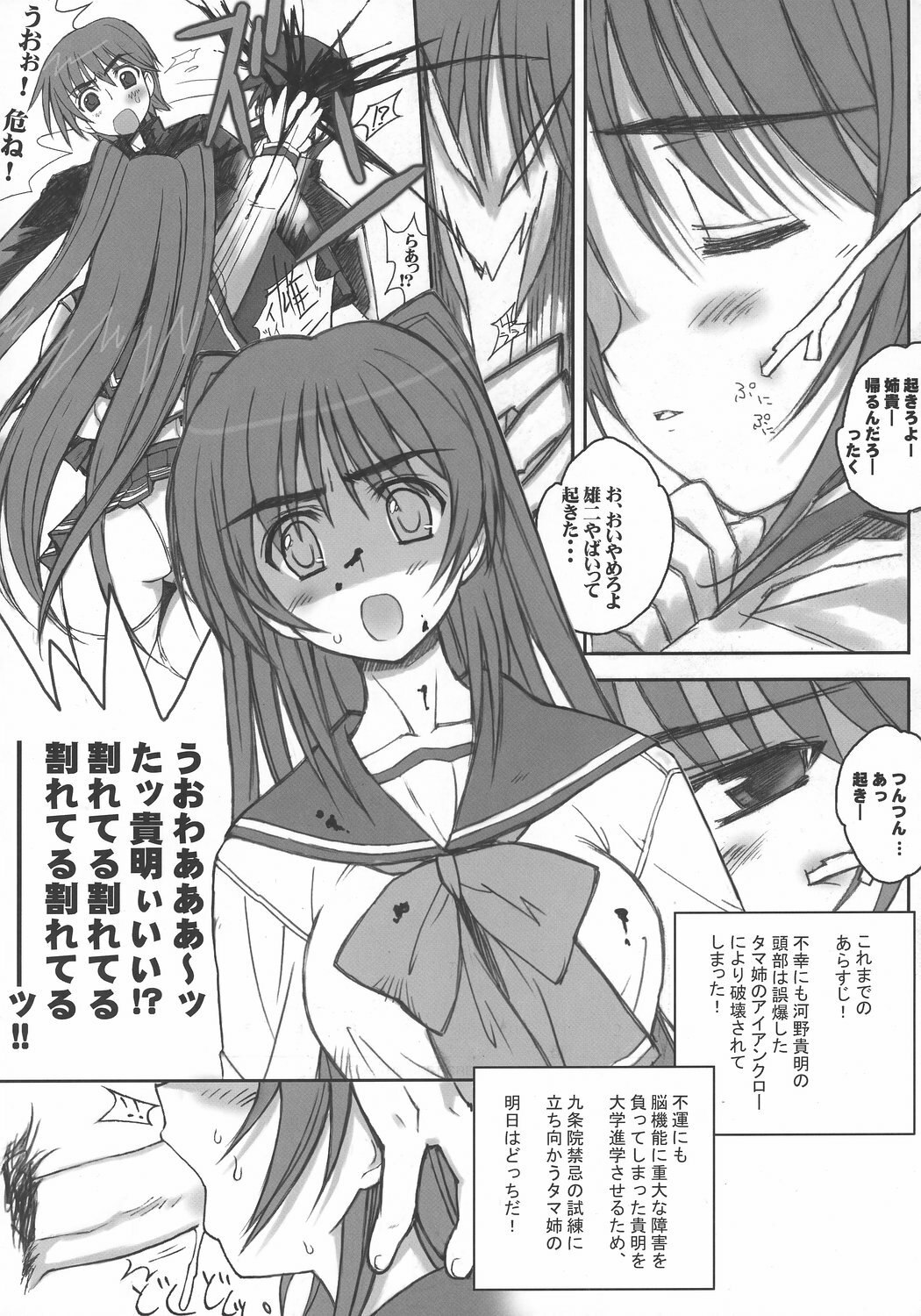 (C71) [Bottomress Pit (Bonzakashi)] Tama Kan RETAKE-ban (ToHeart2) page 7 preview