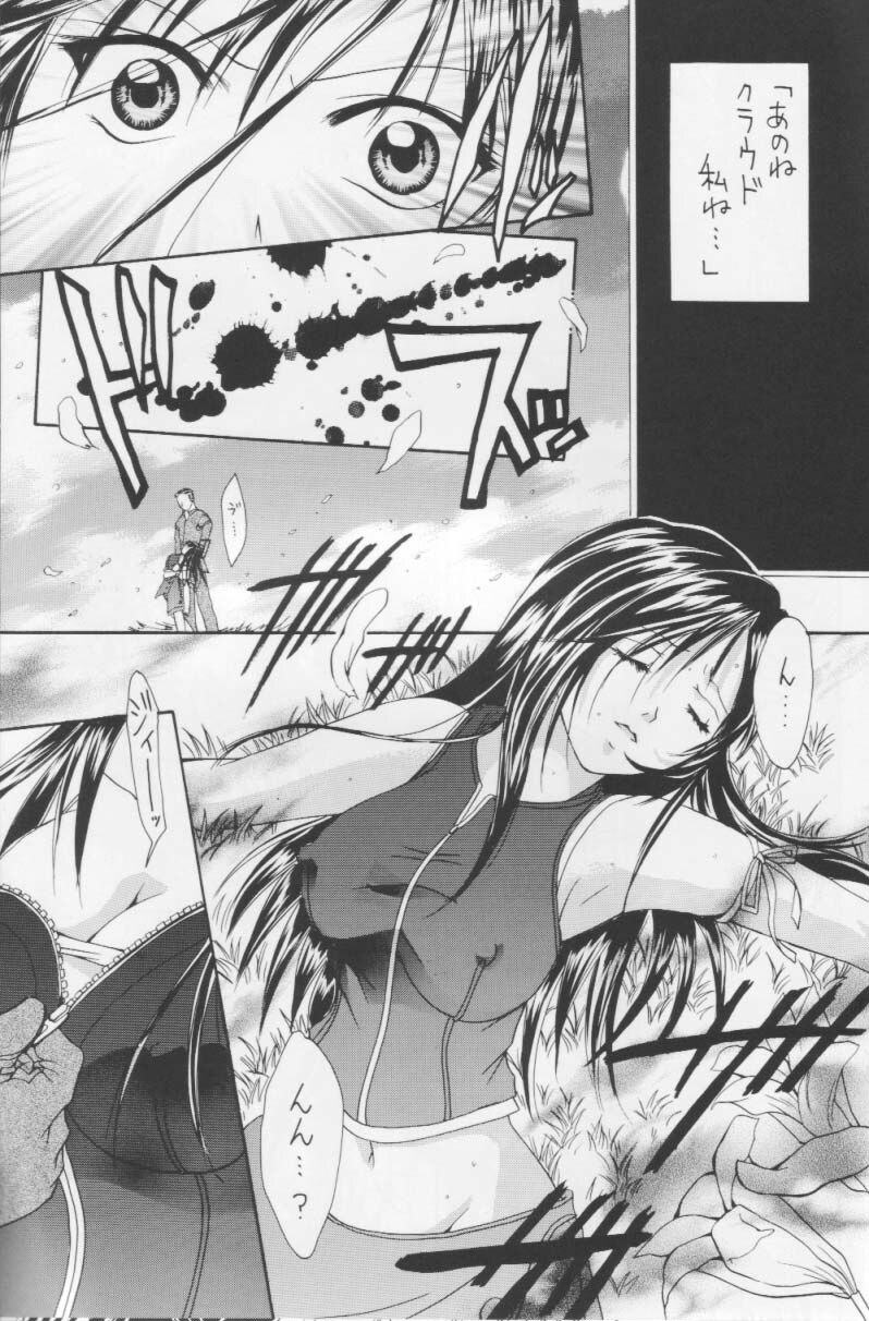 (C66) [Shiitake (Setsuna)] Setsuna FF COLLECTION (Final Fantasy) page 6 preview