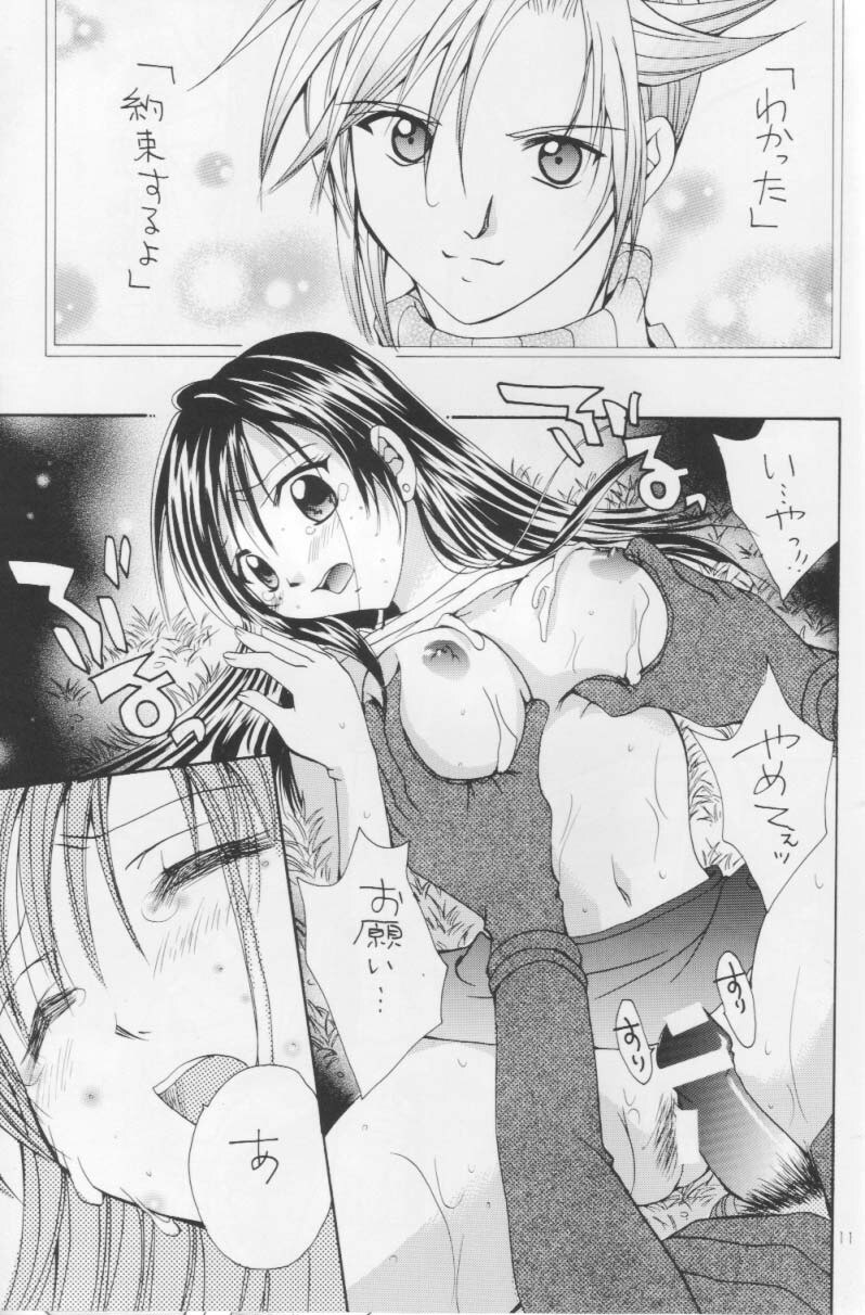 (C66) [Shiitake (Setsuna)] Setsuna FF COLLECTION (Final Fantasy) page 10 preview