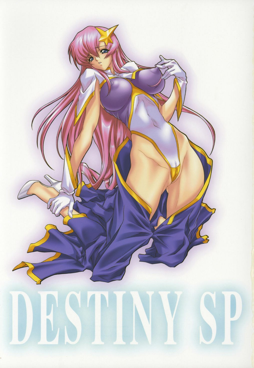 [NAS-ON-CH (NAS-O)] Demongeot DESTINY SP (Gundam SEED DESTINY) page 2 preview