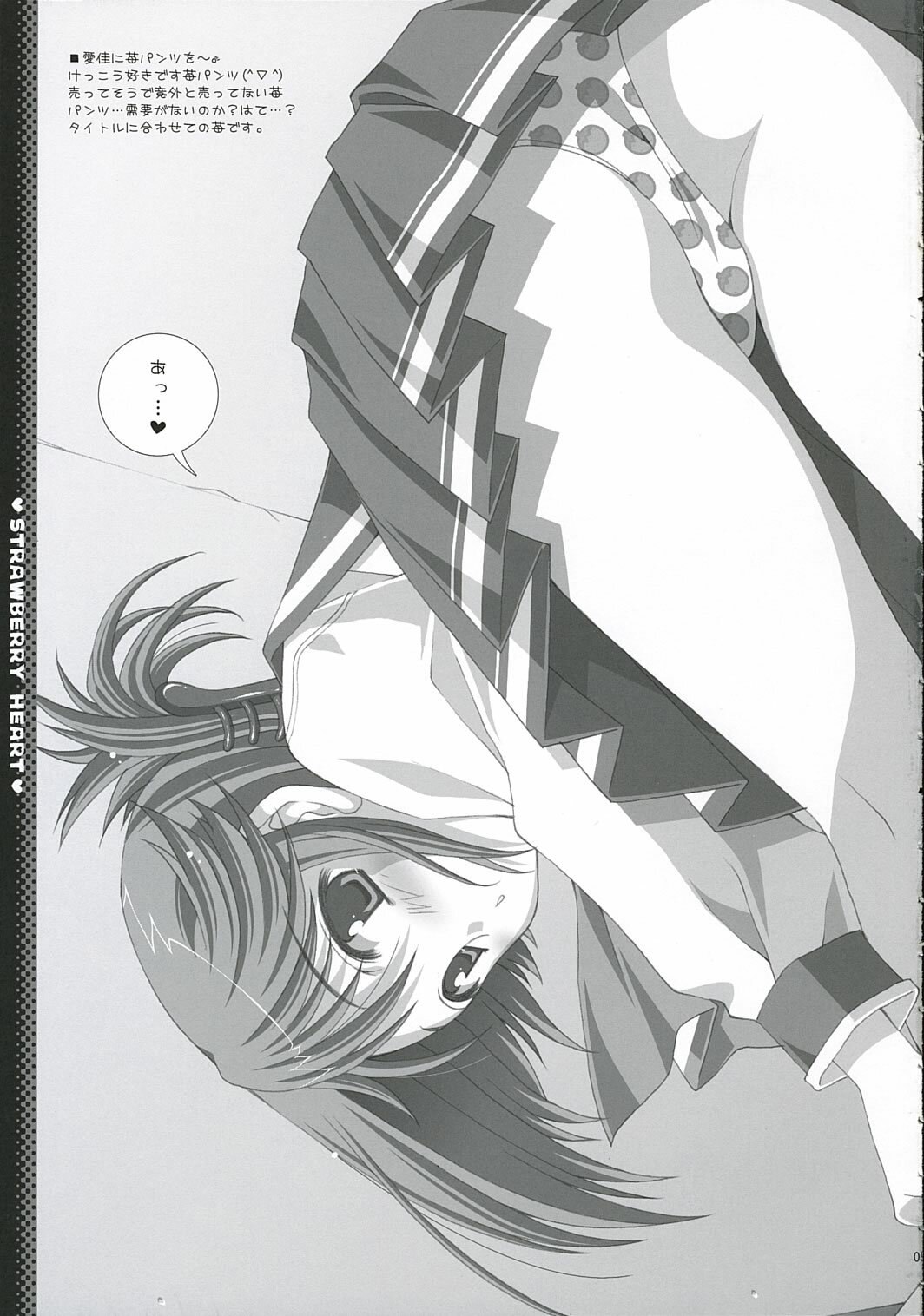 (C69) [LiZ (Satomi Hinako)] strawberry heart (ToHeart 2) page 4 preview