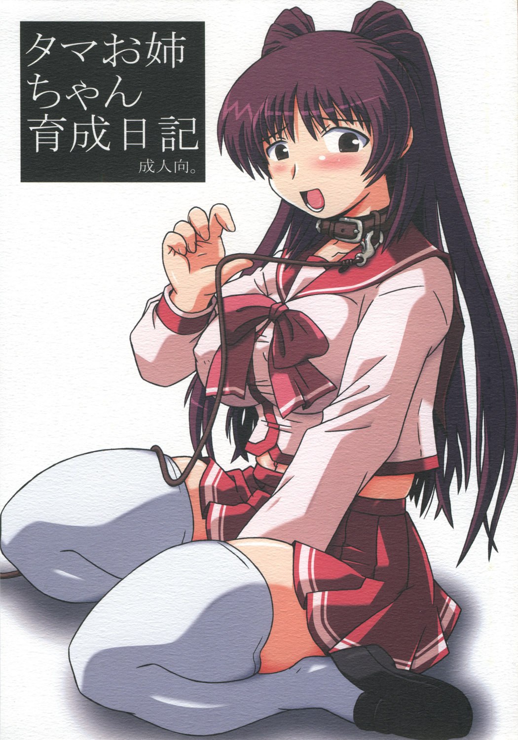 (C68) [Salvage Kouboh (Houou-tan)] Tama Onee-chan Ikusei Nikki (ToHeart2)