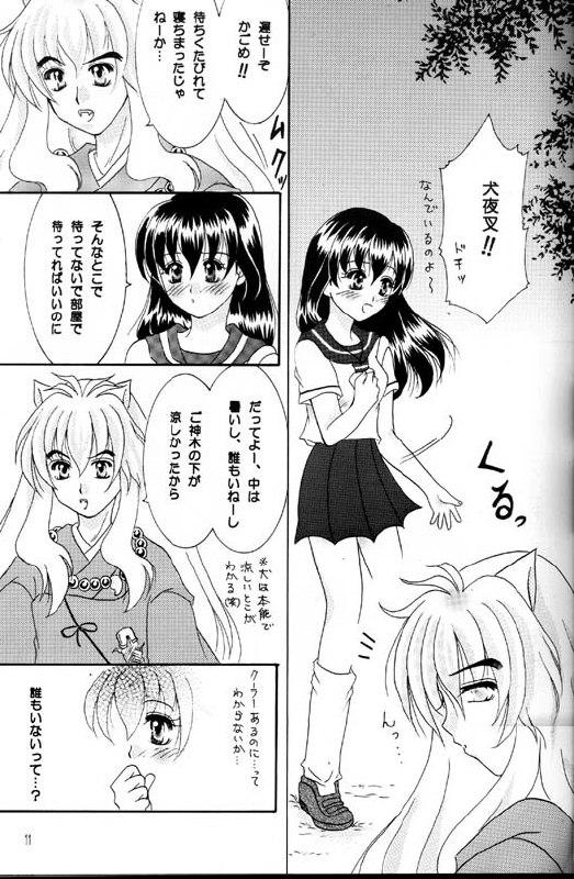 [Yukibana] Shingetsu no Hana (Inuyasha) page 10 preview
