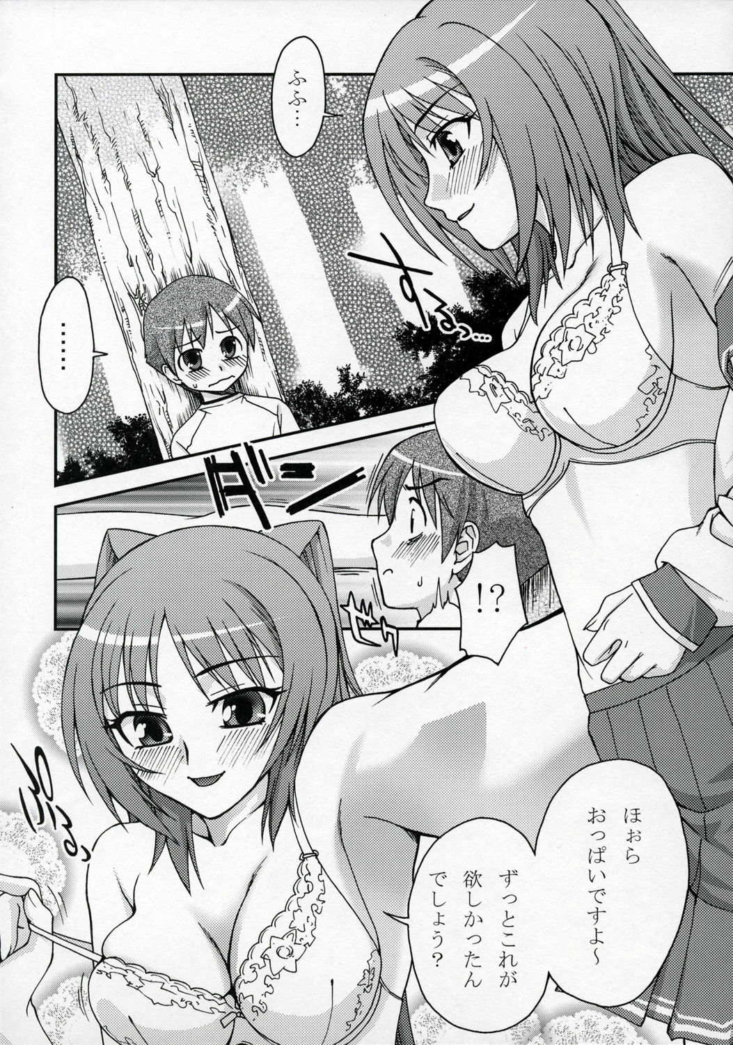 (C68)  XLLL side T (ToHeart 2) page 5 preview