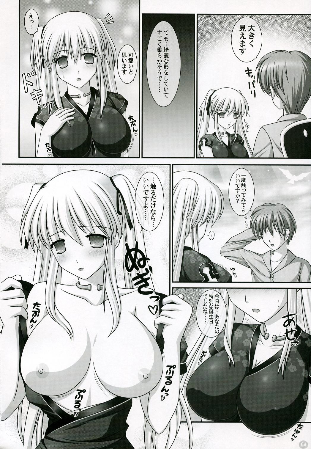 (C72) [SIMPLE HOUSE (Kafu)] Hold My Hand IV (Mabinogi) page 3 preview